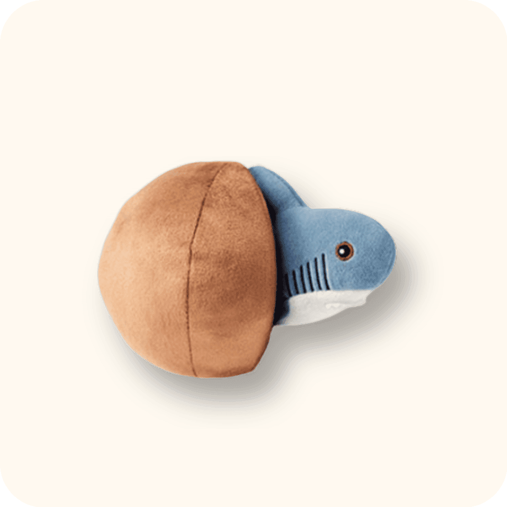 Shark Ball Plush Shark Ball Plush